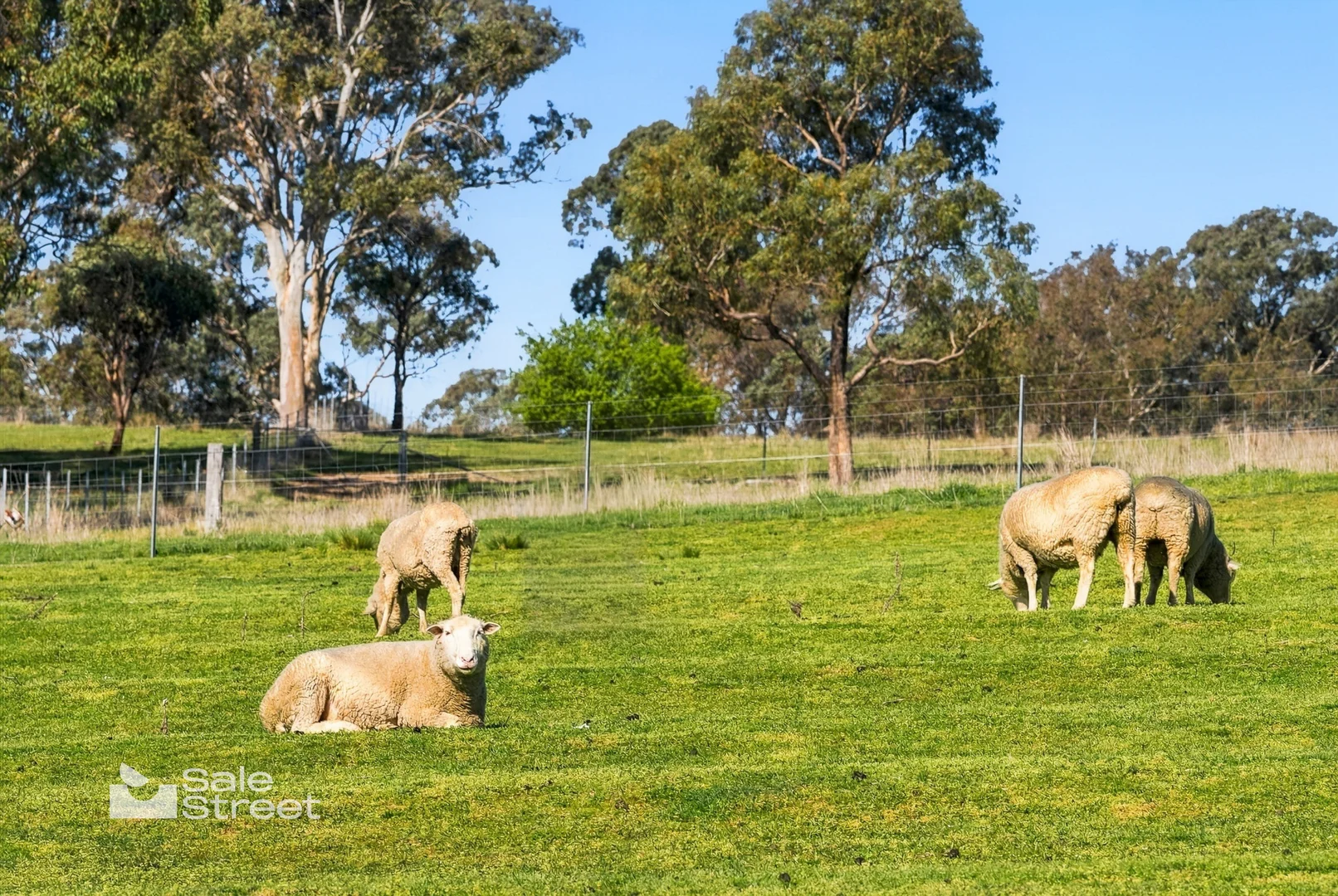 748 Burrendong Way, Orange NSW 2800 - House for Sale | Domain