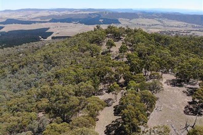 Picture of Lot 67 & 74 Corrowong Road, CORROWONG NSW 2633