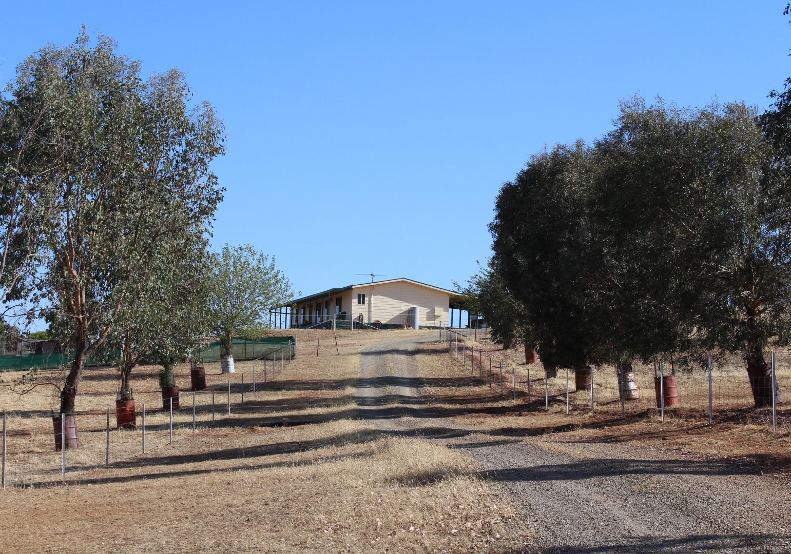 190 Turners Lane, Cootamundra NSW 2590, Image 1