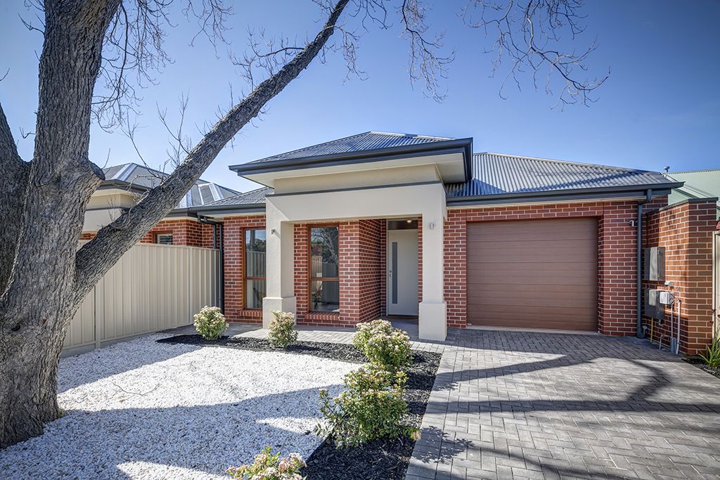 41 D'ERLANGER AVENUE, Collinswood SA 5081, Image 1