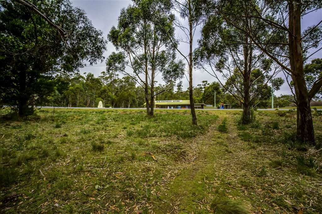 4 Brewis Place, Lake Leake TAS 7210, Image 0