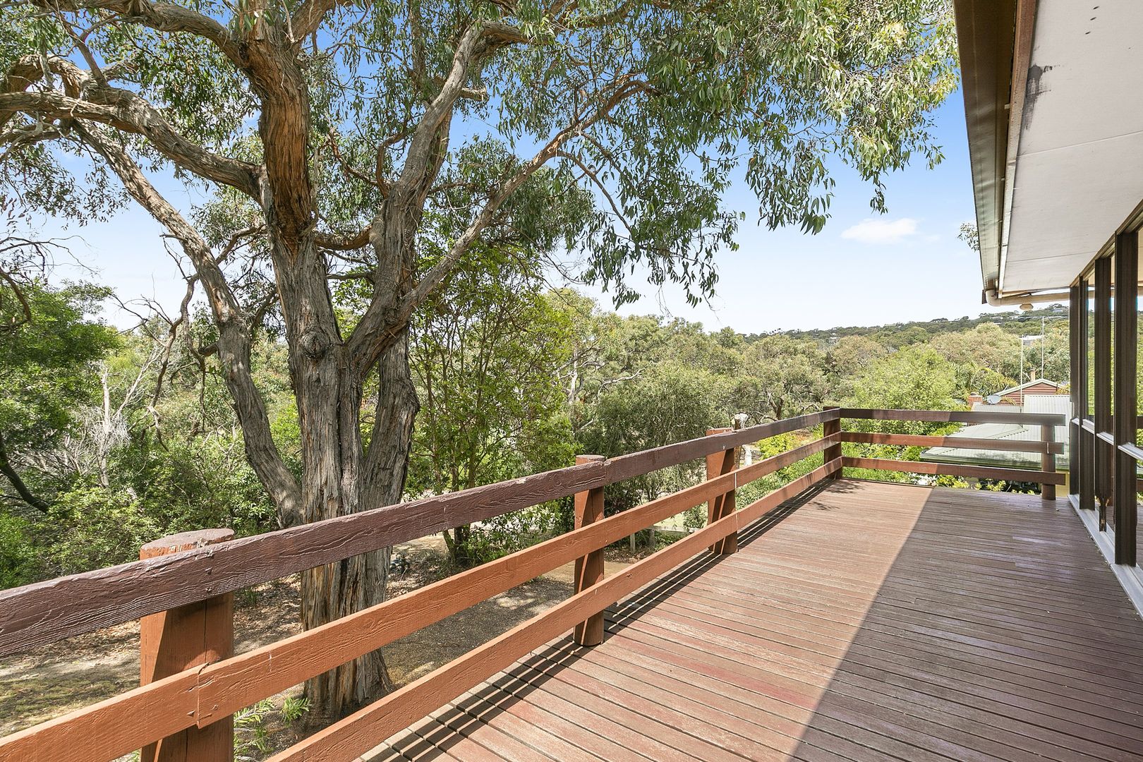 2 Niblick Street, Anglesea VIC 3230, Image 1