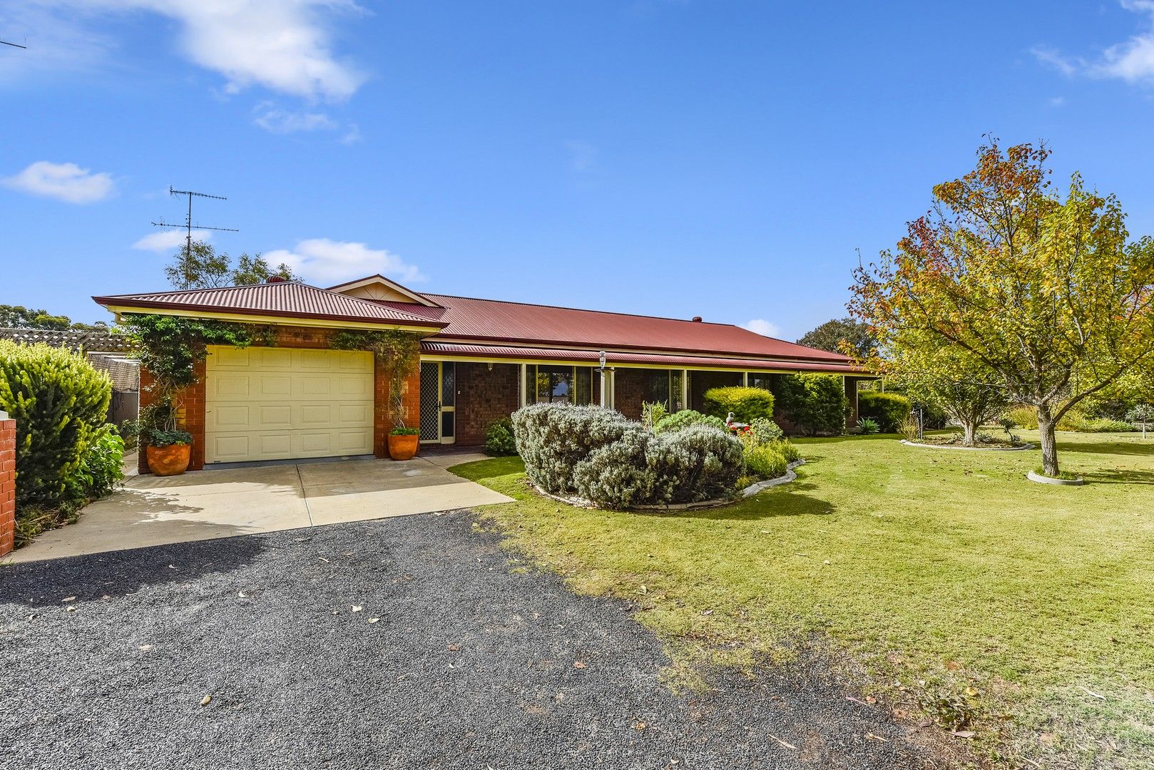 209 South Avenue, Bordertown SA 5268, Image 0