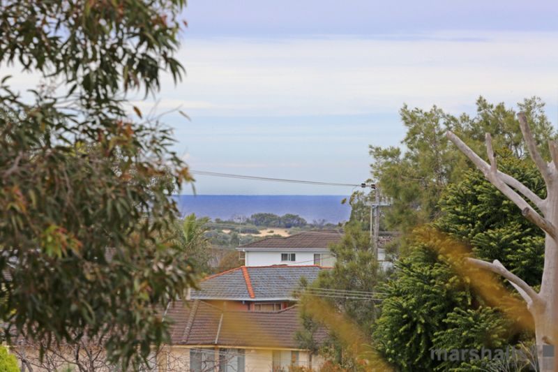 17 Pendeen Cl, Belmont North NSW 2280, Image 1