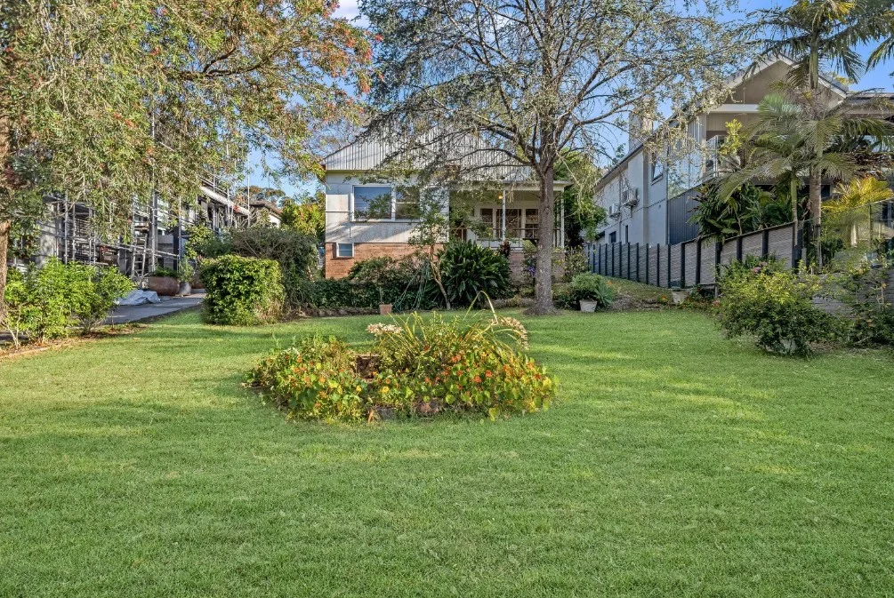 Image 6