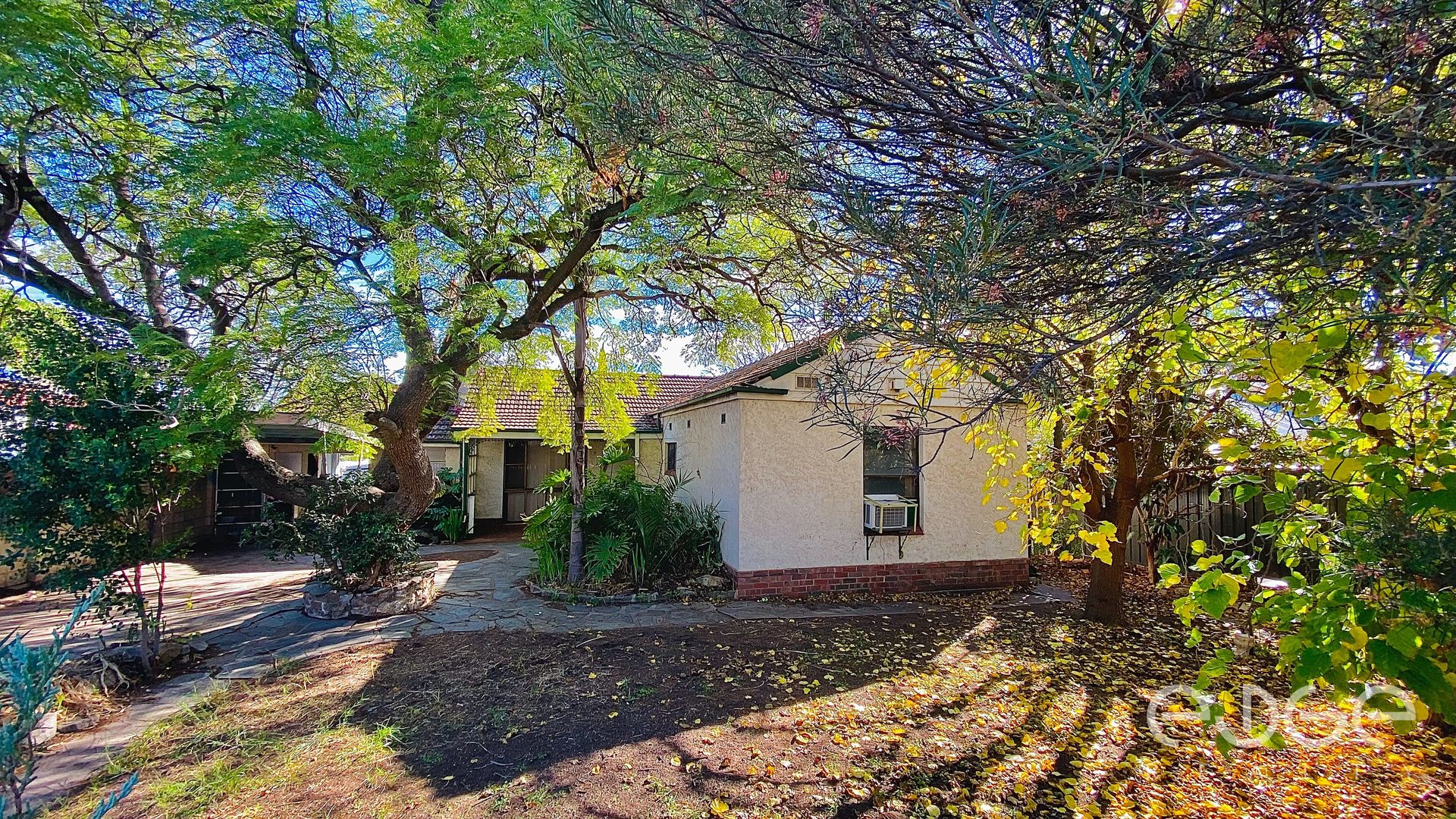 41 Jackson Terrace, Enfield SA 5085, Image 2