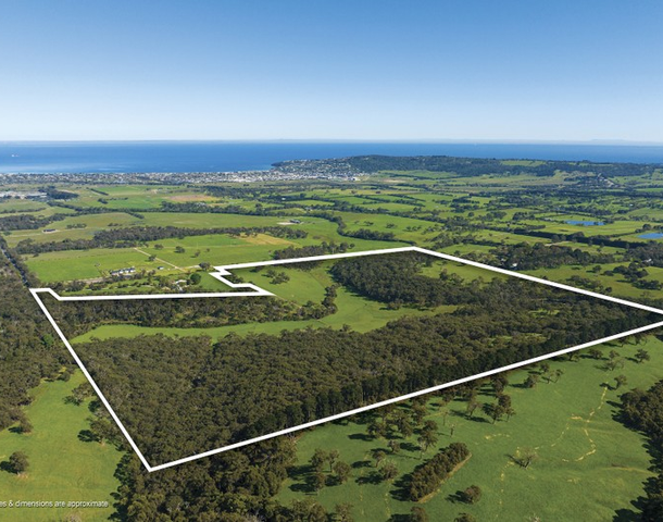 530 Dunns Creek Road, Dromana VIC 3936