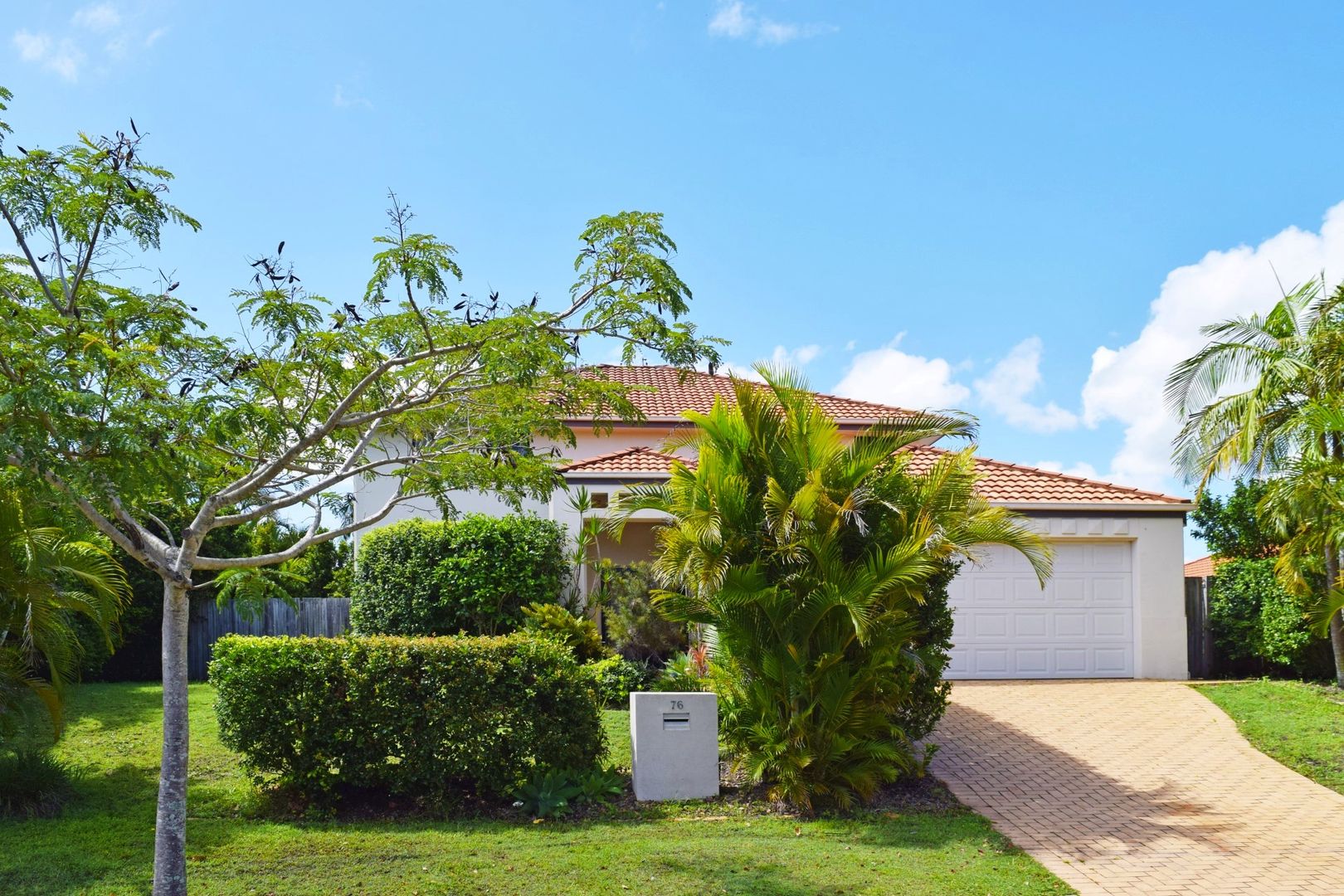 76 Glenfields Bvd, Mountain Creek QLD 4557 House For Rent Domain