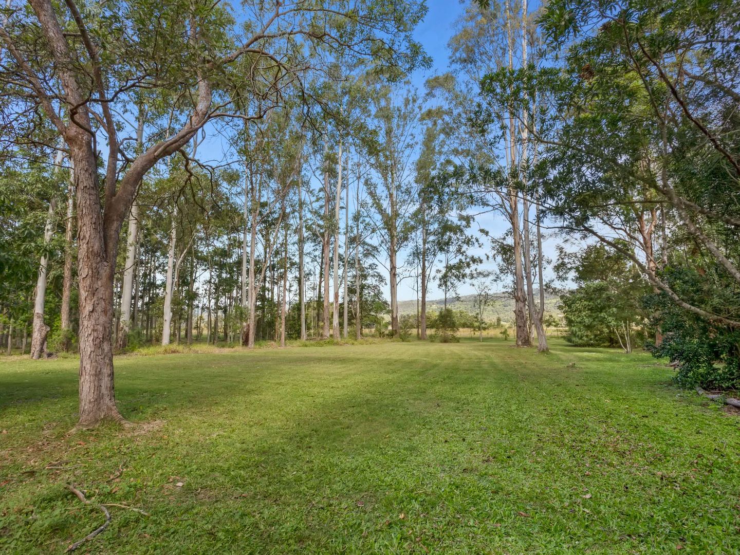 9 Salix Court, Wights Mountain QLD 4520, Image 1