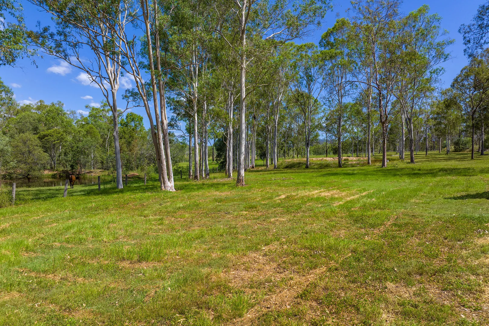 Additional image 17 of 100 Cullinane Road, Sexton QLD 4570