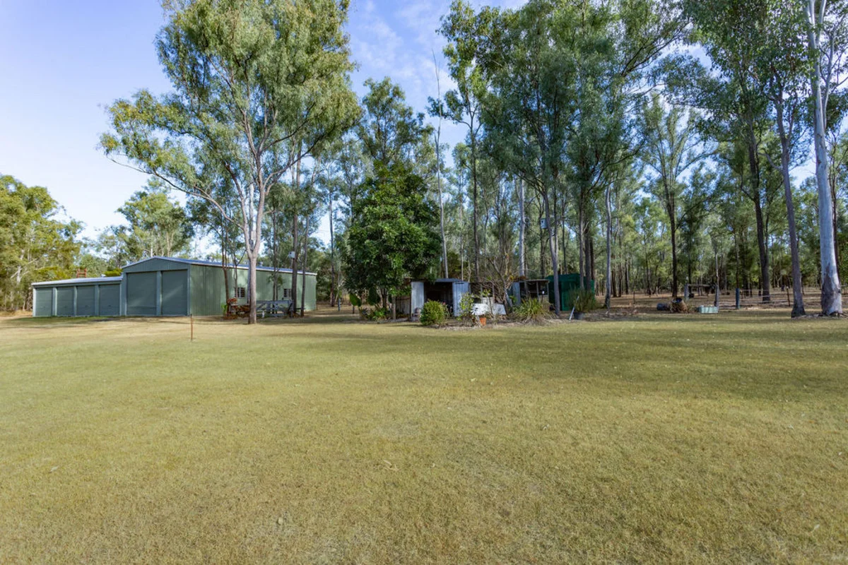 Image 33
