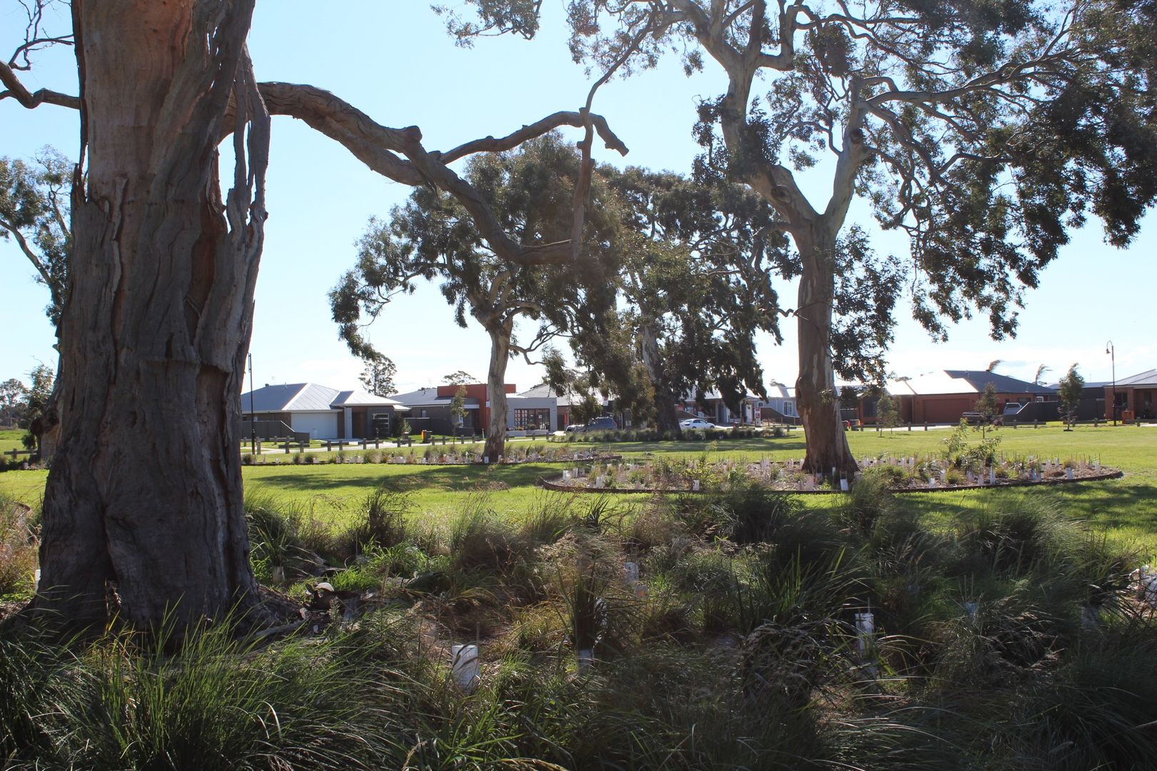 Sold Elliman Crescent, Sale VIC 3850 on 22 Mar 2022 2016459088 Domain