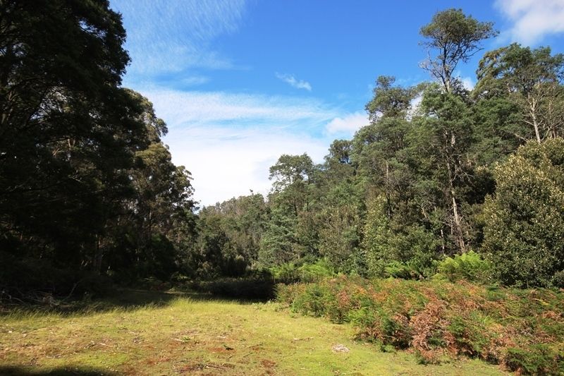 Lot 19 Waggs Gully Road, Ranelagh TAS 7109, Image 2