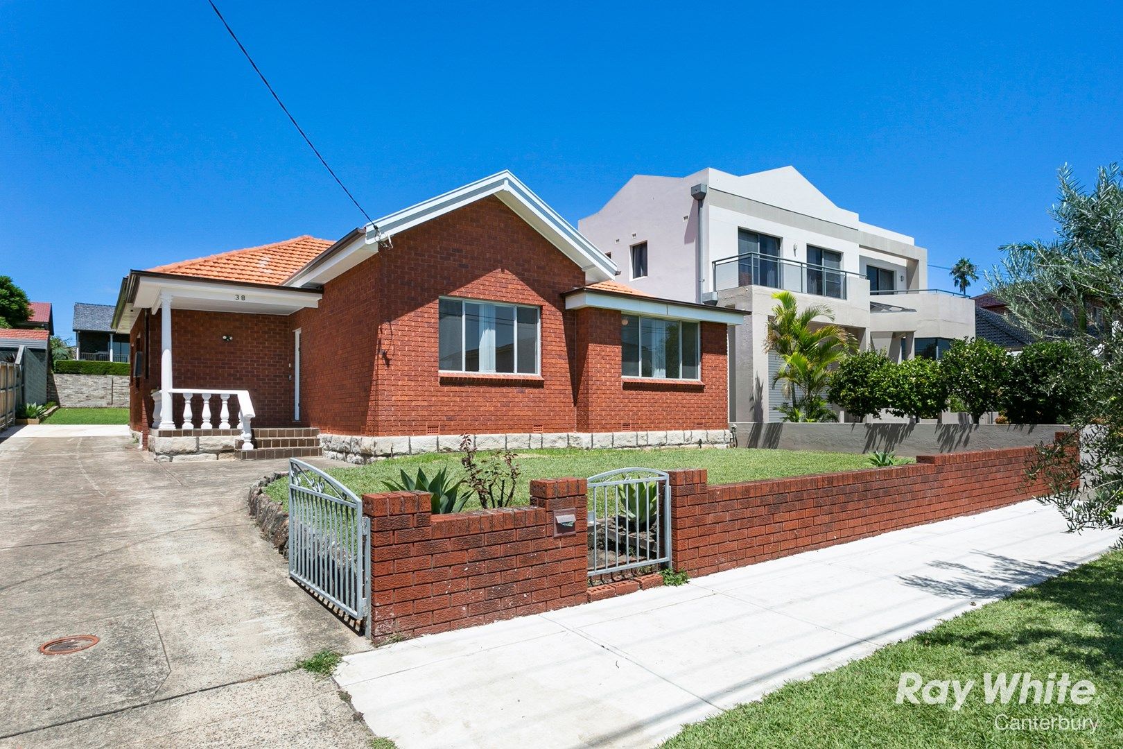 38 Kitchener Avenue, Earlwood NSW 2206 House For Rent 950 Domain