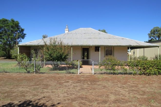 Picture of 10 Forbes Street, GOOLOOGONG NSW 2805