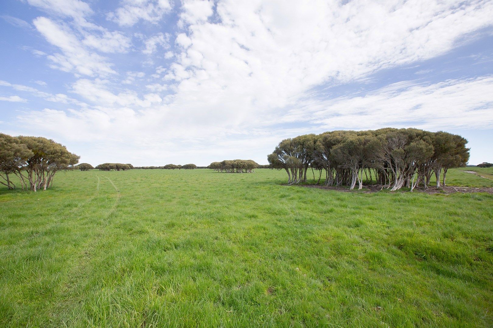 Lot 100 Old Naracoorte Road, Robe SA 5276, Image 0