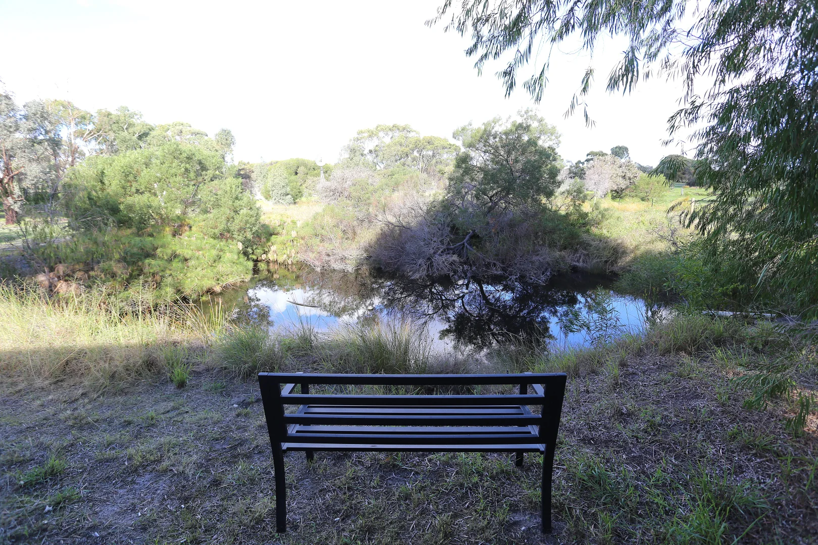 Image 12
