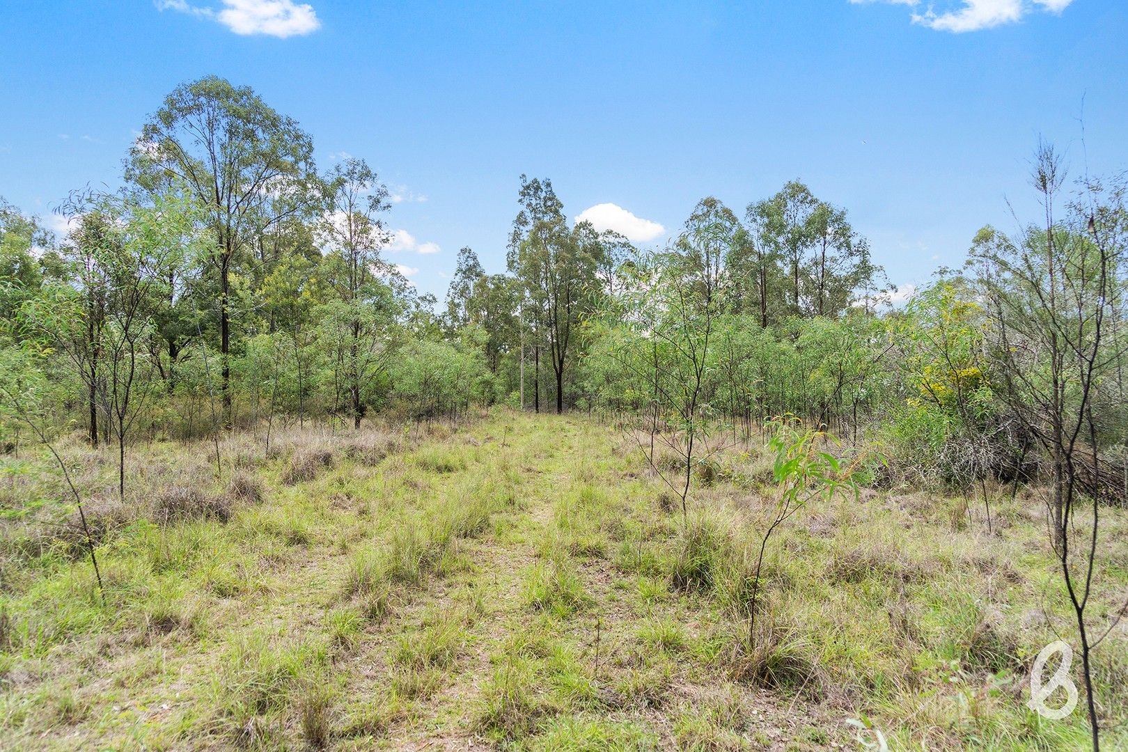 Site 8 Glendonbrook Road & Blind Creek Road, Singleton NSW 2330, Image 0