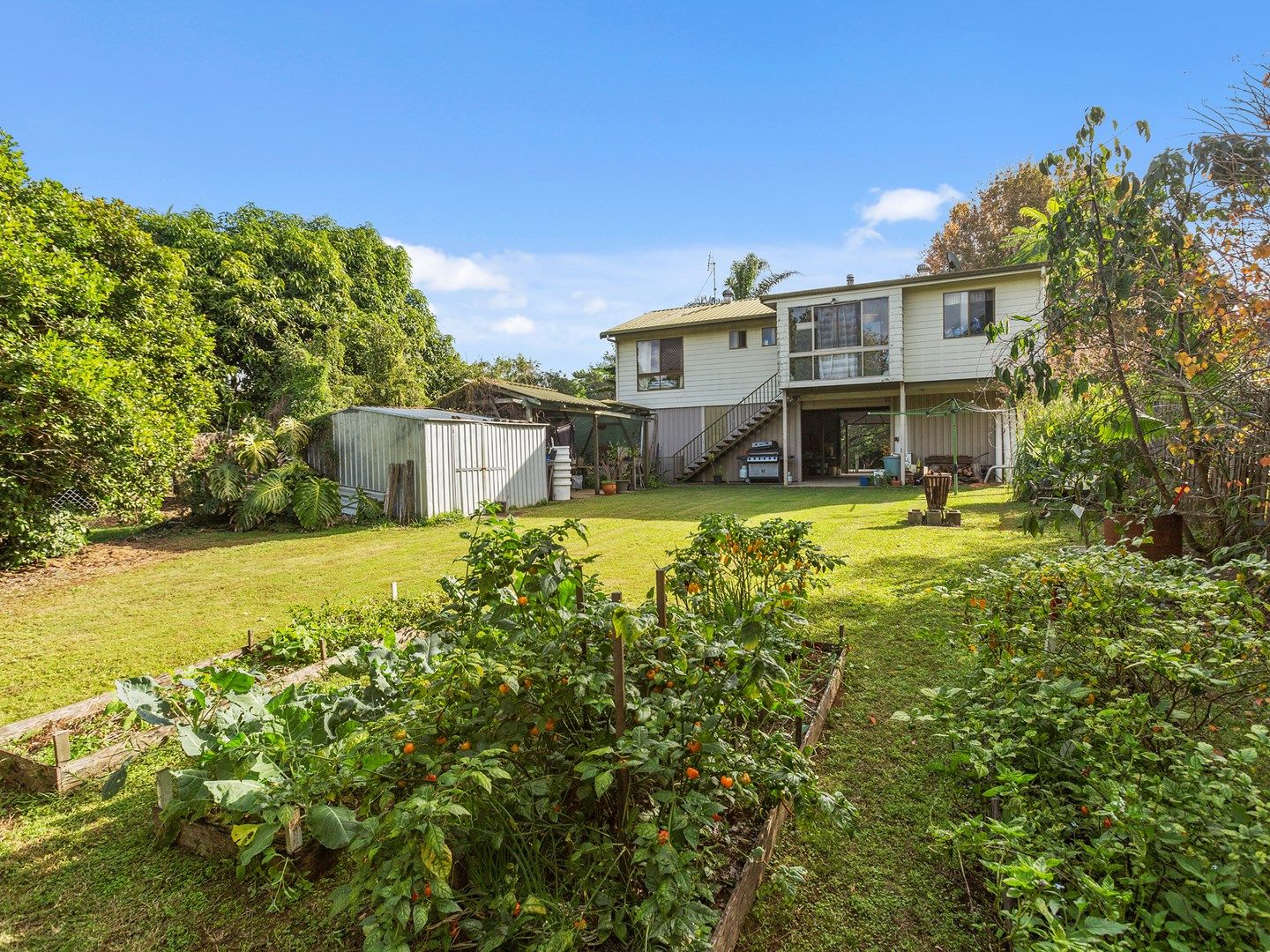 22 Kyogle Road, Murwillumbah NSW 2484, Image 0