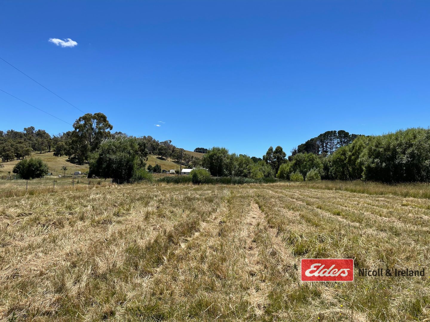 Lot 1 Pascoe Street, Neville NSW 2799, Image 1