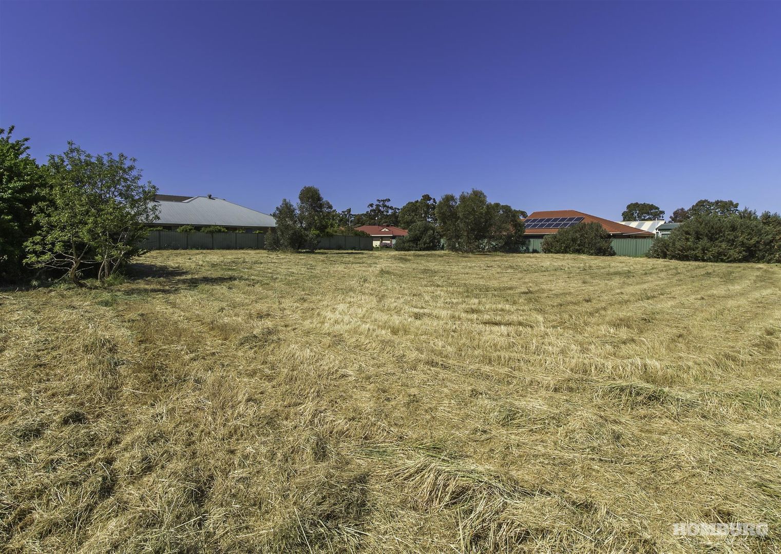 Lot 300 Sandalwood Drive, Nuriootpa SA 5355, Image 1