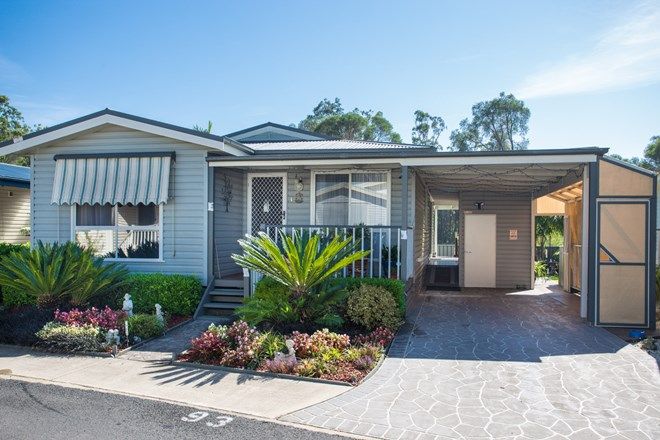 Picture of 93/3197 Princes Highway, MILLINGANDI NSW 2549