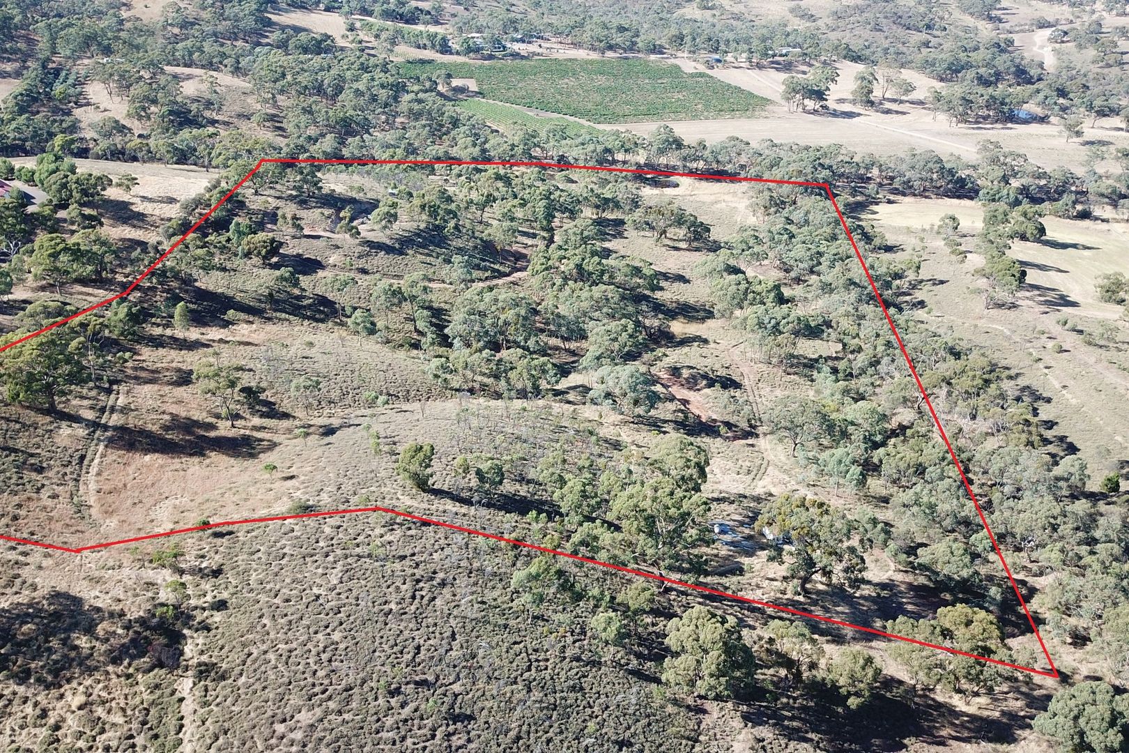 Lot 26 Spring Gully Road, Emu Flat SA 5453, Image 2