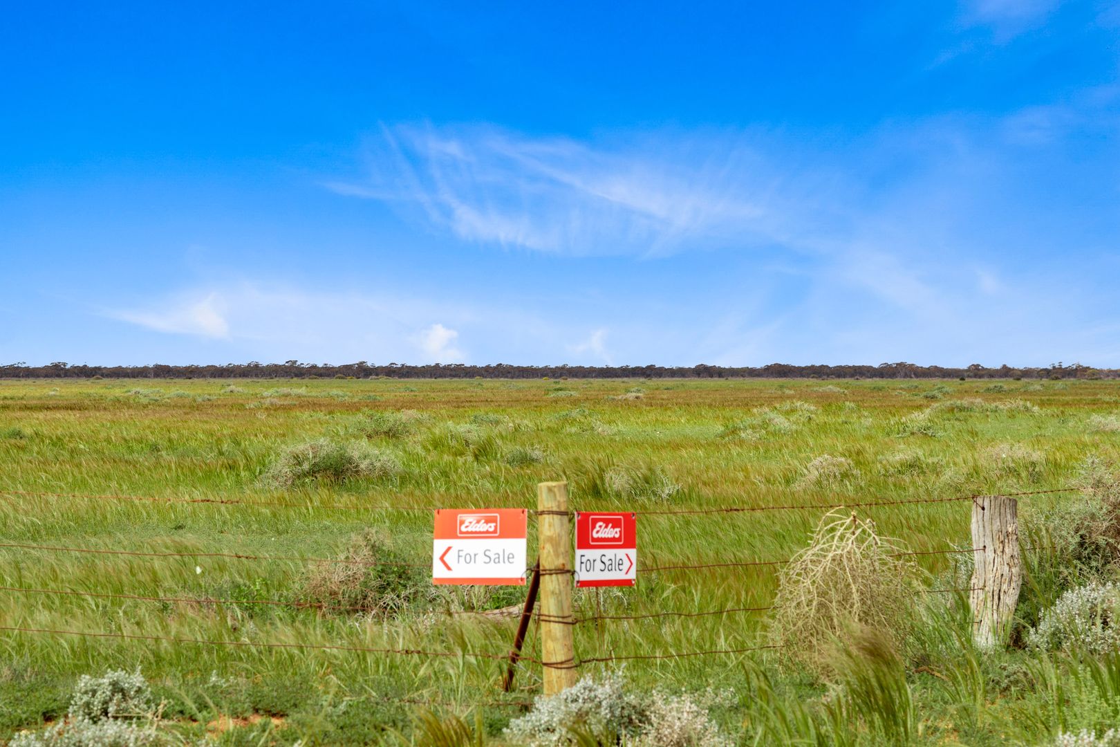 Lot 217 Bower Boundary Road, Steinfeld SA 5356, Image 1