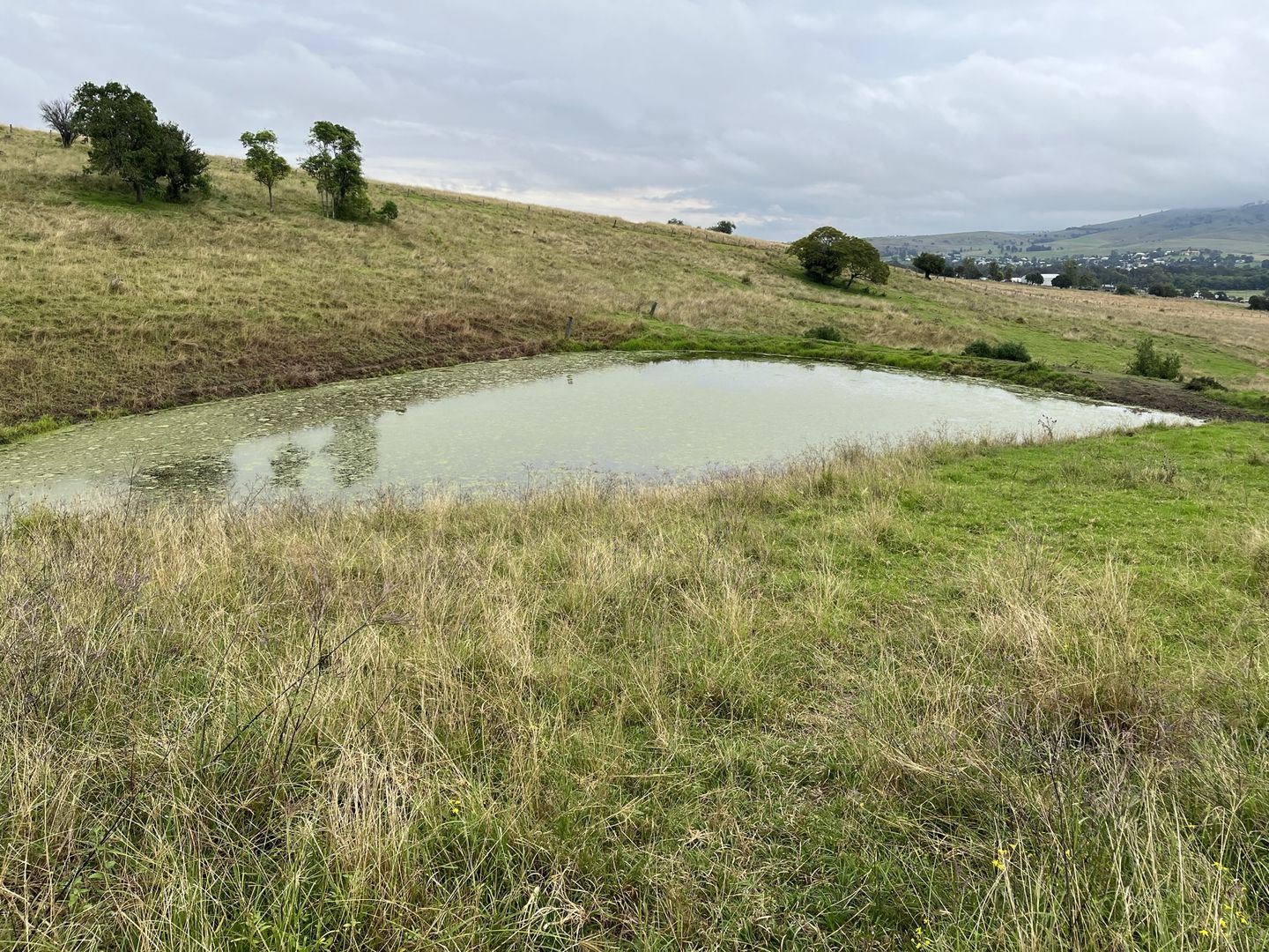 Lot 1 Winterflood Road, Killarney QLD 4373, Image 2