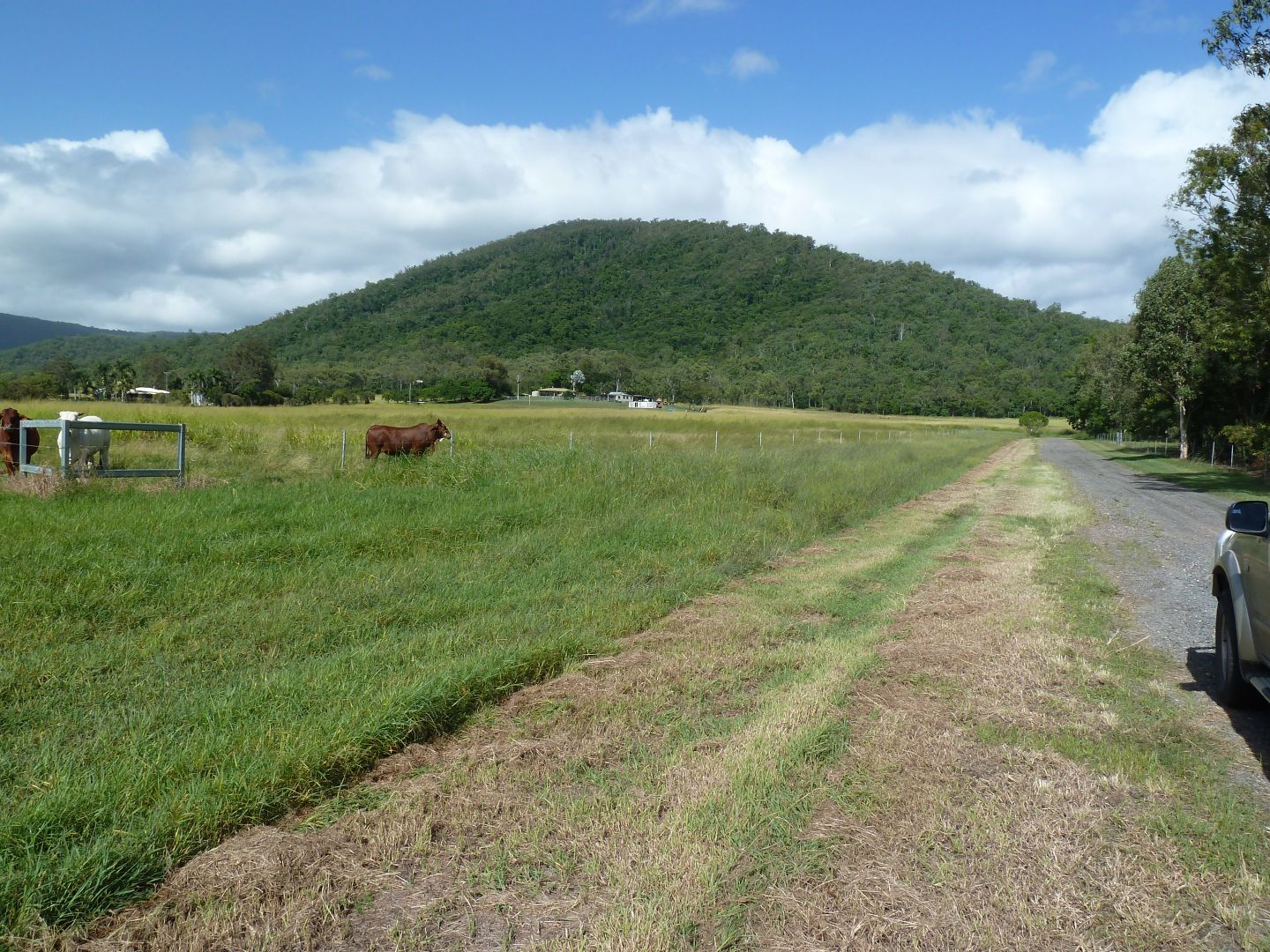 1473 Sarina Homebush Road, Sunnyside Property History & Address