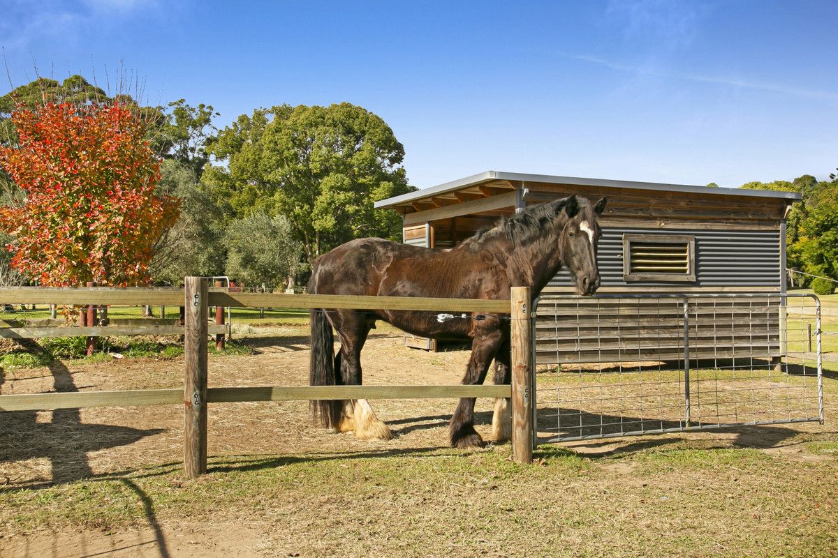 763 Tallebudgera Creek Road, Tallebudgera Valley QLD 4228, Image 0