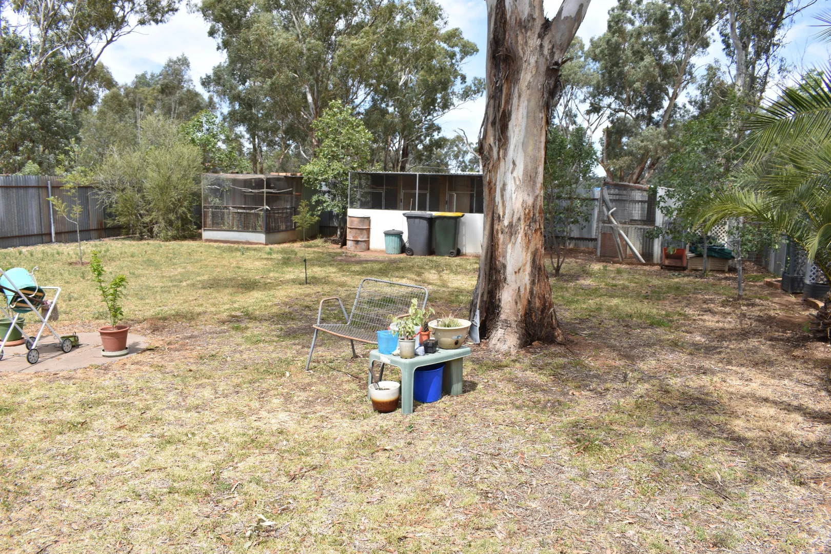 Image 13