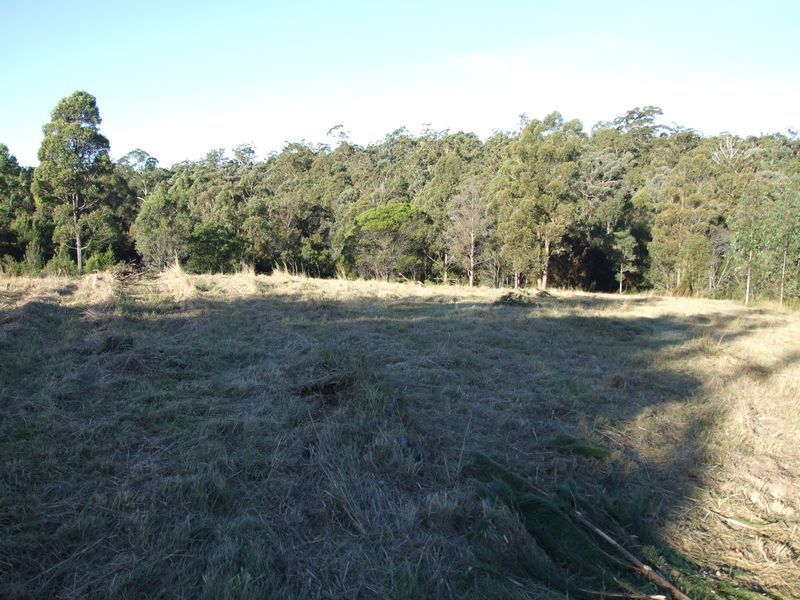 Lot 21 Blair Close, Coolagolite NSW 2550, Image 0