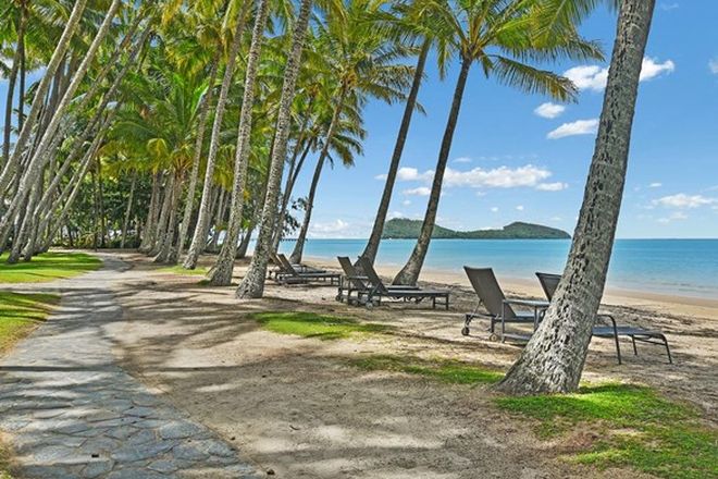 246 1 Bedroom Apartments Sold Auction Results In Palm Cove Qld 4879 Domain