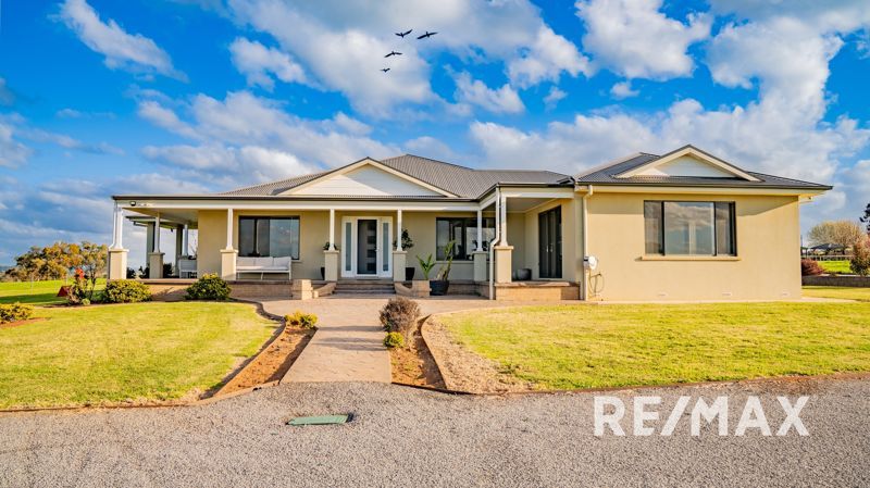 8 bedrooms Acreage / Semi-Rural in 82 Pikedale Road JUNEE NSW, 2663