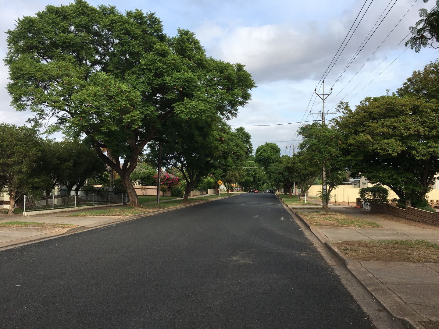 Manuel Avenue, Blair Athol SA 5084, Image 1