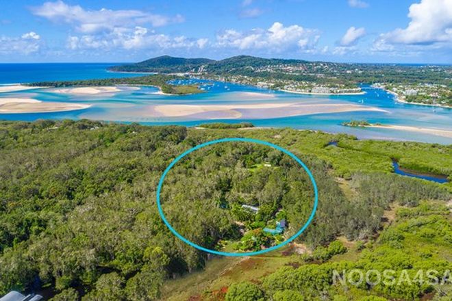 Picture of 8 Sandybanks Track, NOOSA NORTH SHORE QLD 4565