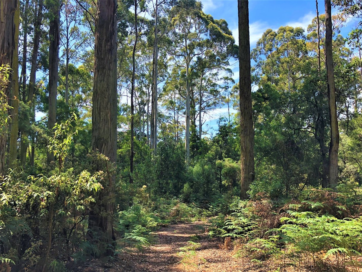 Lot 2 Back Cam Road, Somerset TAS 7322, Image 1