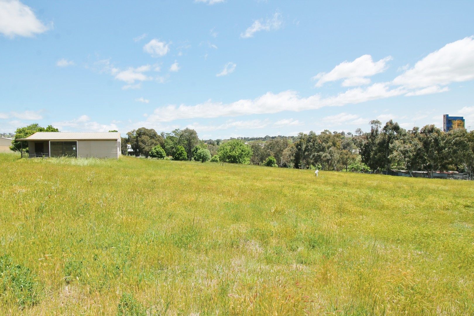 7 Iris Street, Harden NSW 2587, Image 0