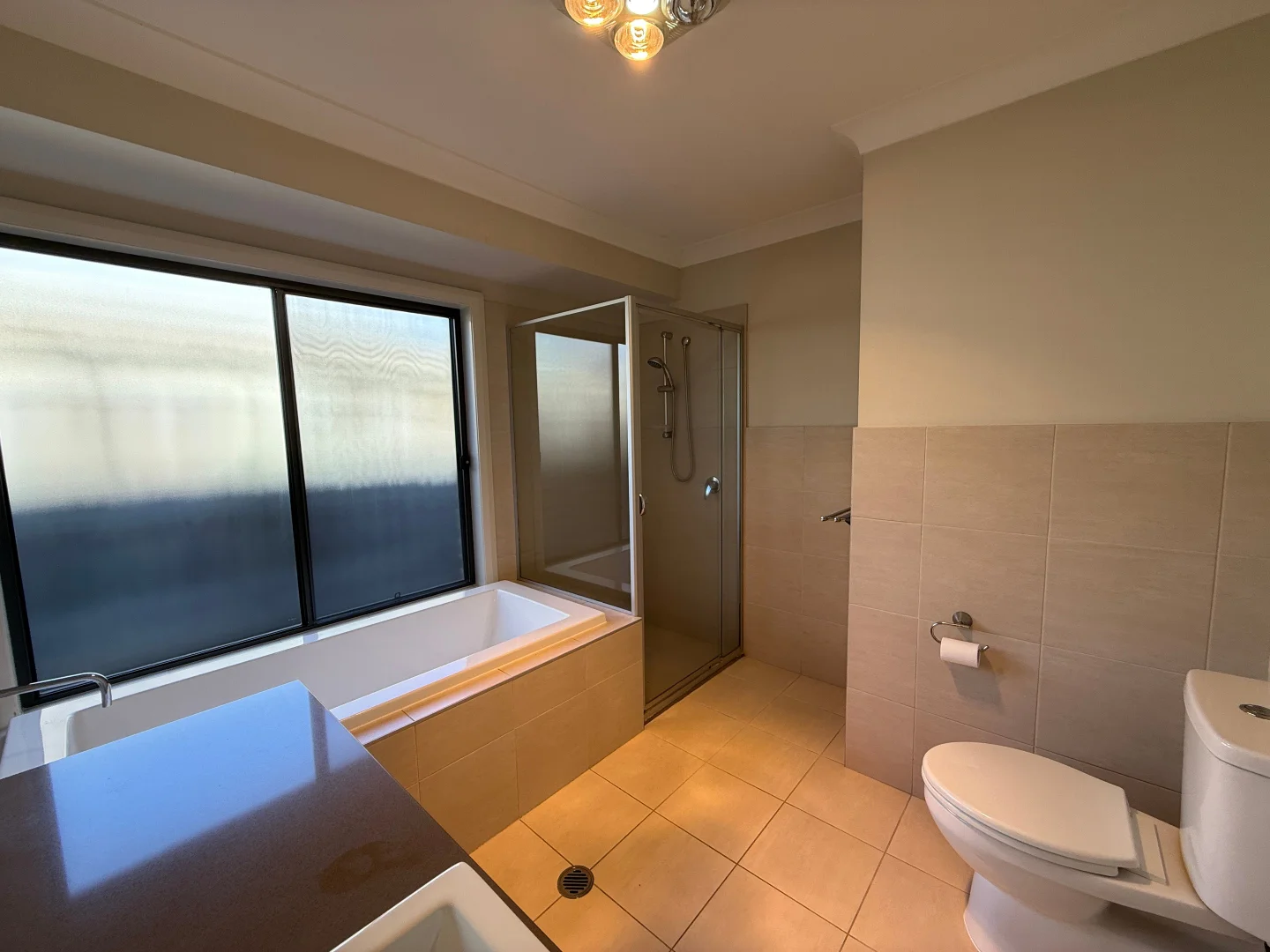 Additional image 12 of 12 Dragonfly Dr, Chisholm NSW 2322