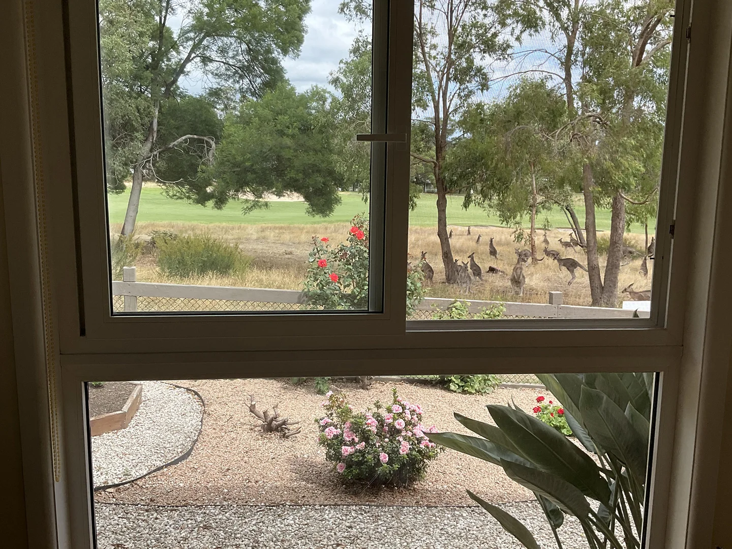 Image 21