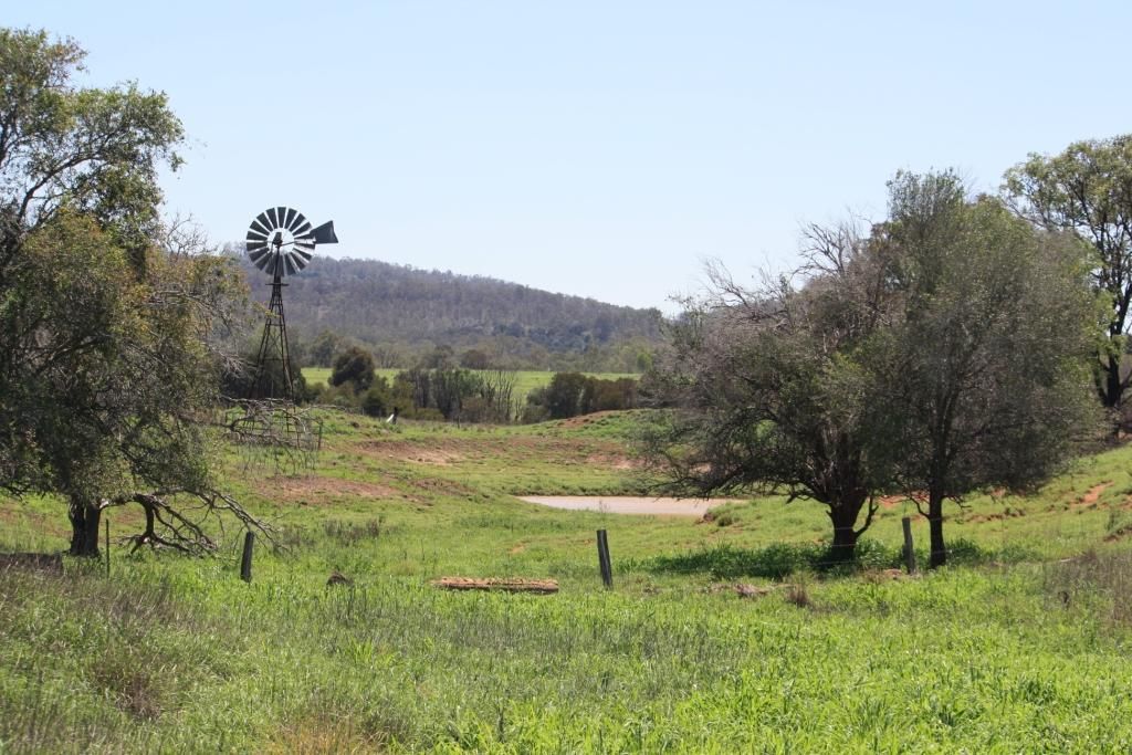 MUNDUBBERA QLD 4626, Image 1