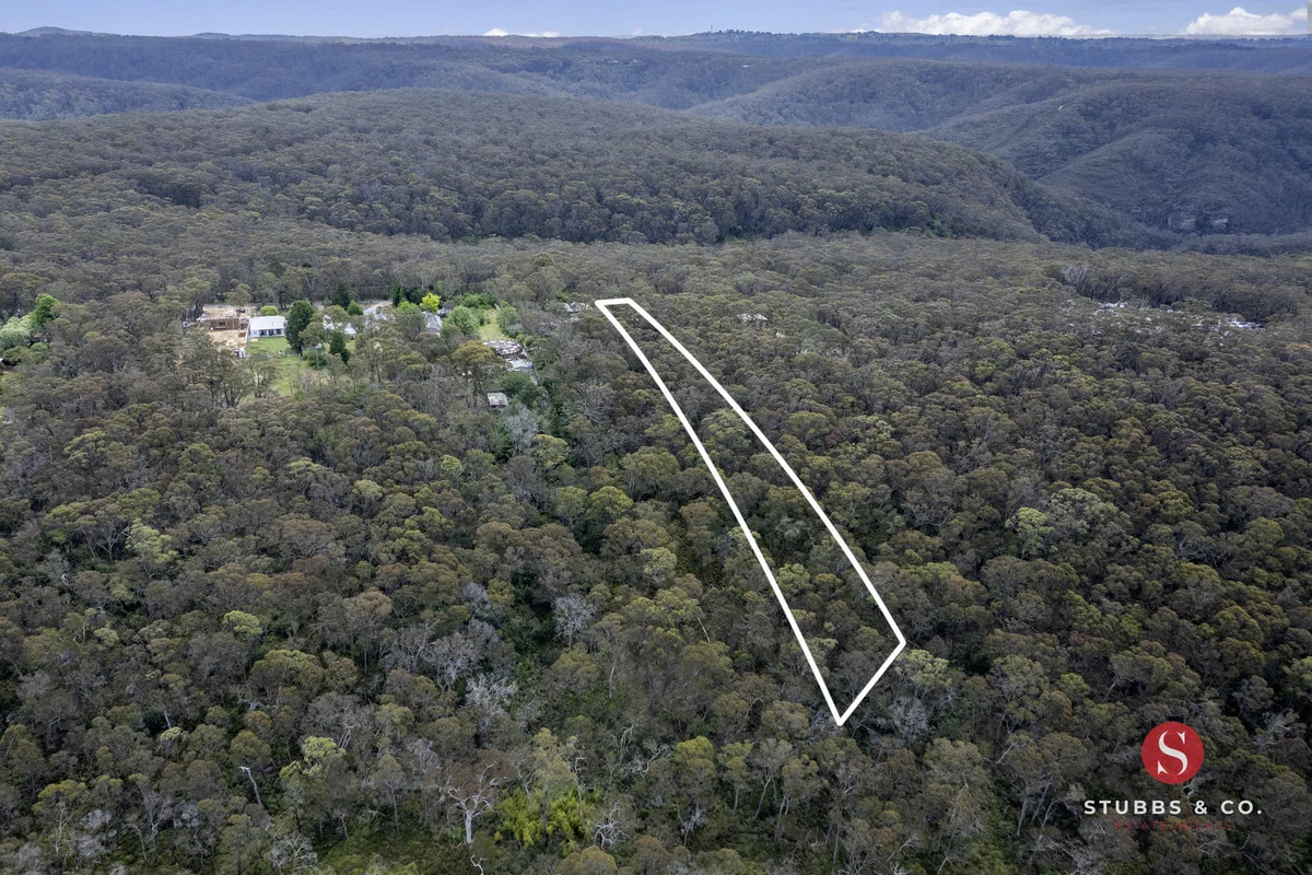 Image 12