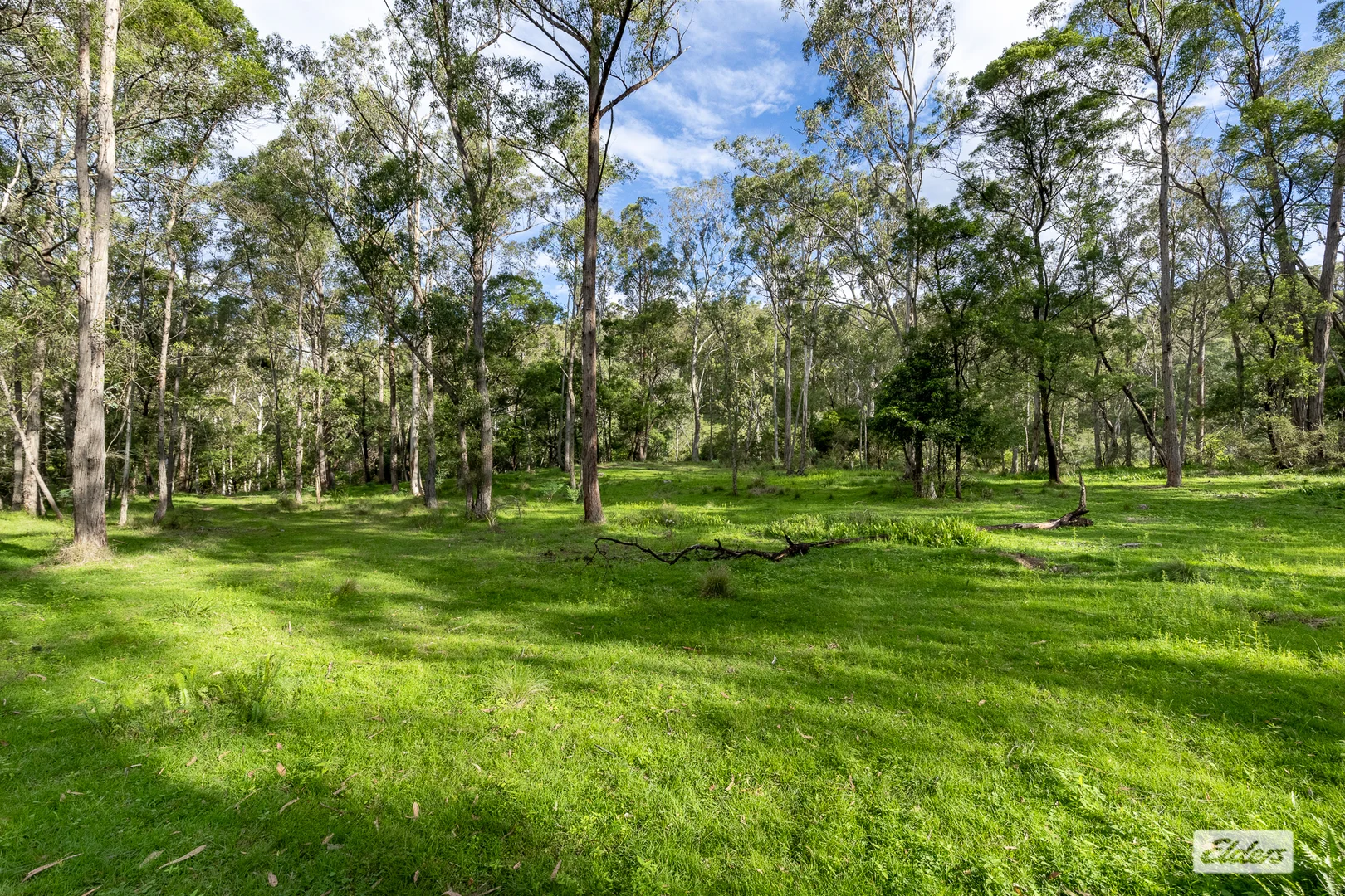 Image 33