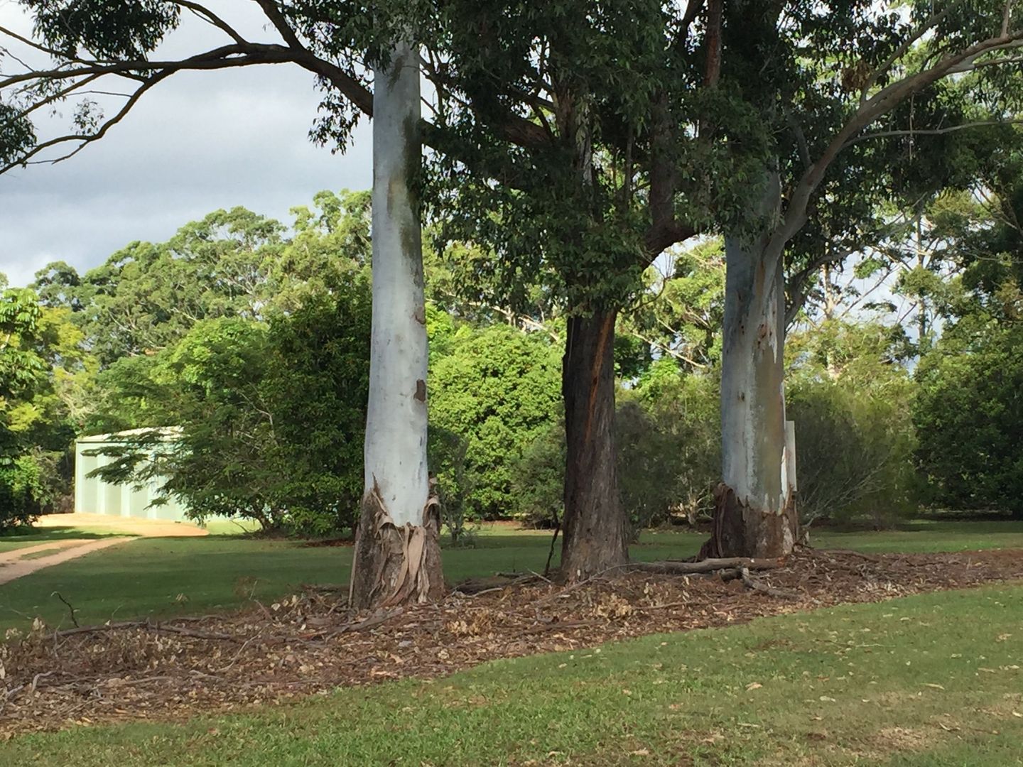 Tolga QLD 4882 vacant land for Sale, $280,000 - 2012960032 ...