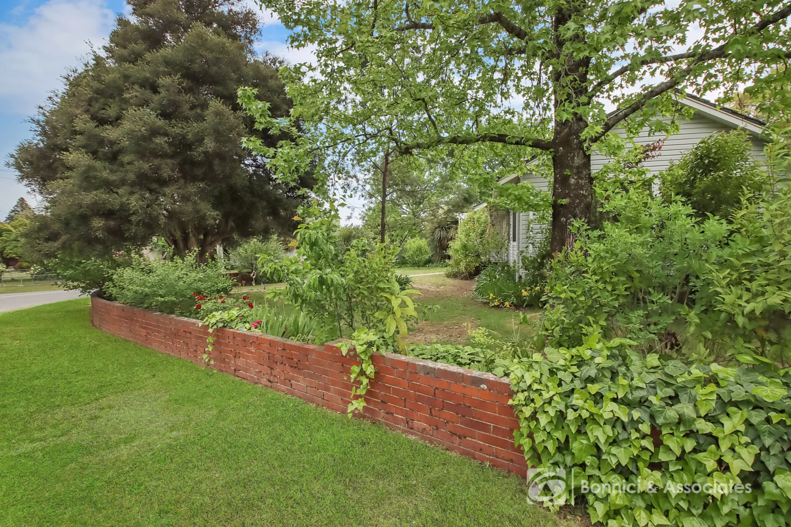 Image 15