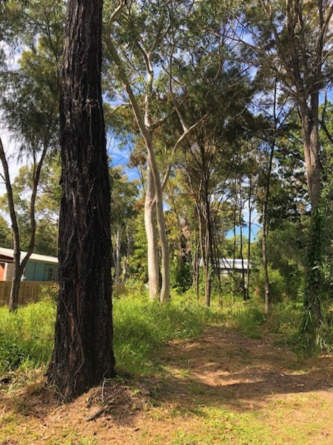 6 Dinjerra Street, Macleay Island QLD 4184, Image 2