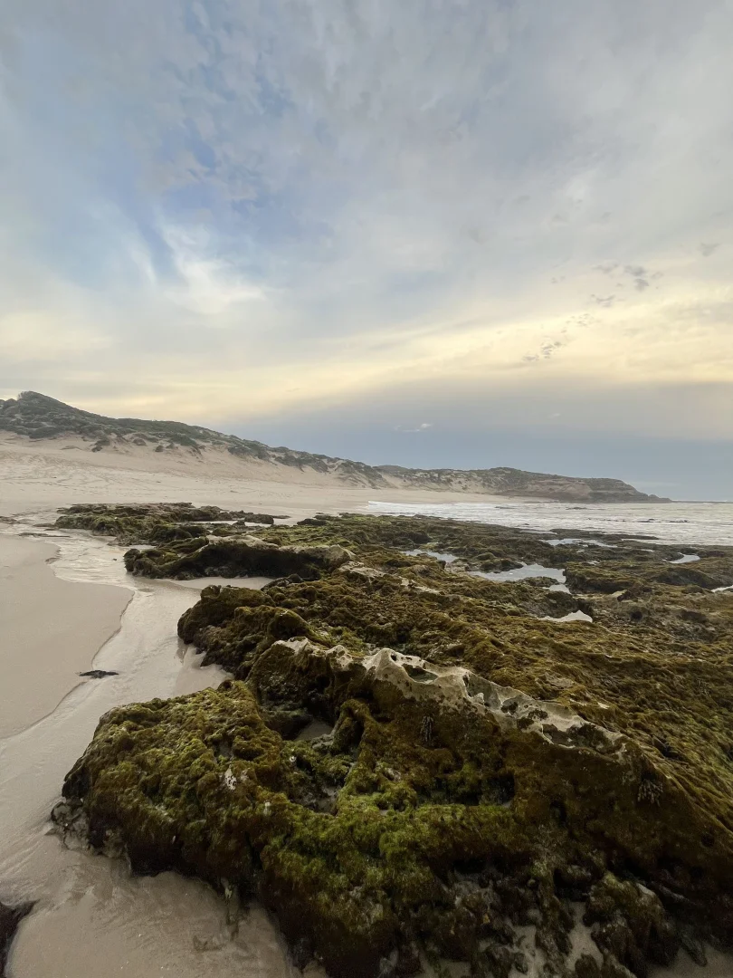 Additional image 19 of Rye VIC 3941