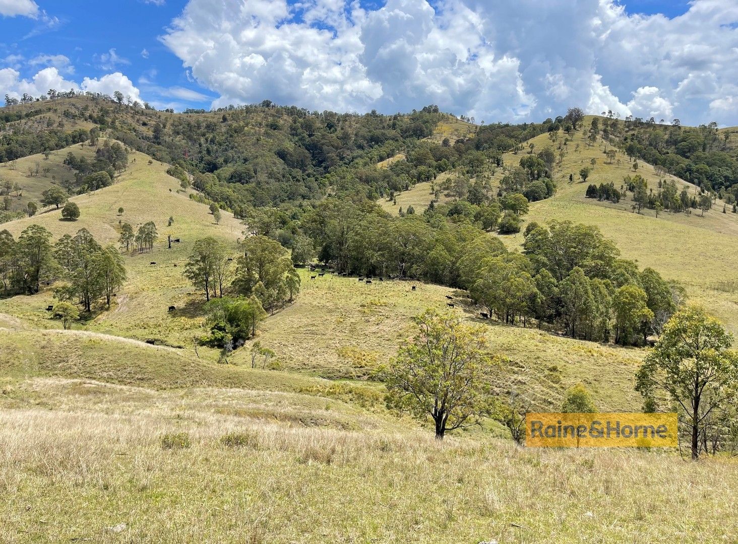 Dungog NSW 2420 - House for Sale - $760,000 | Domain