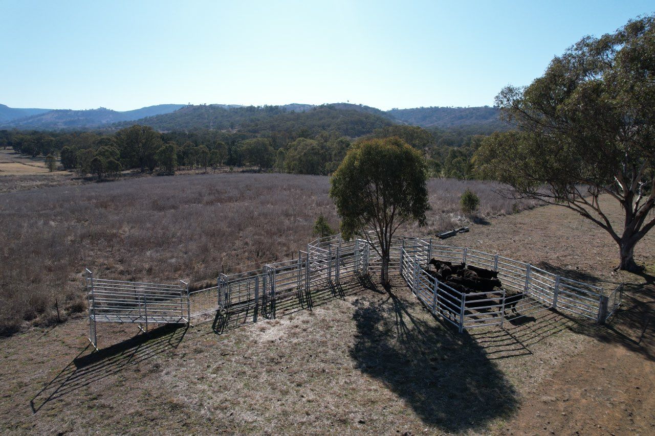 1951 Pembroke Road, Cassilis NSW 2329 House for Sale Domain